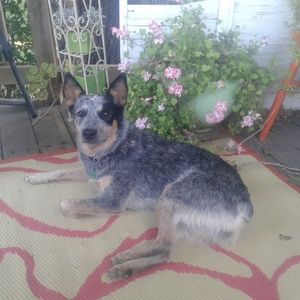 Meet your Posher, Marilyn